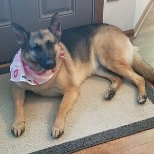 Meet your Posher, Jeni